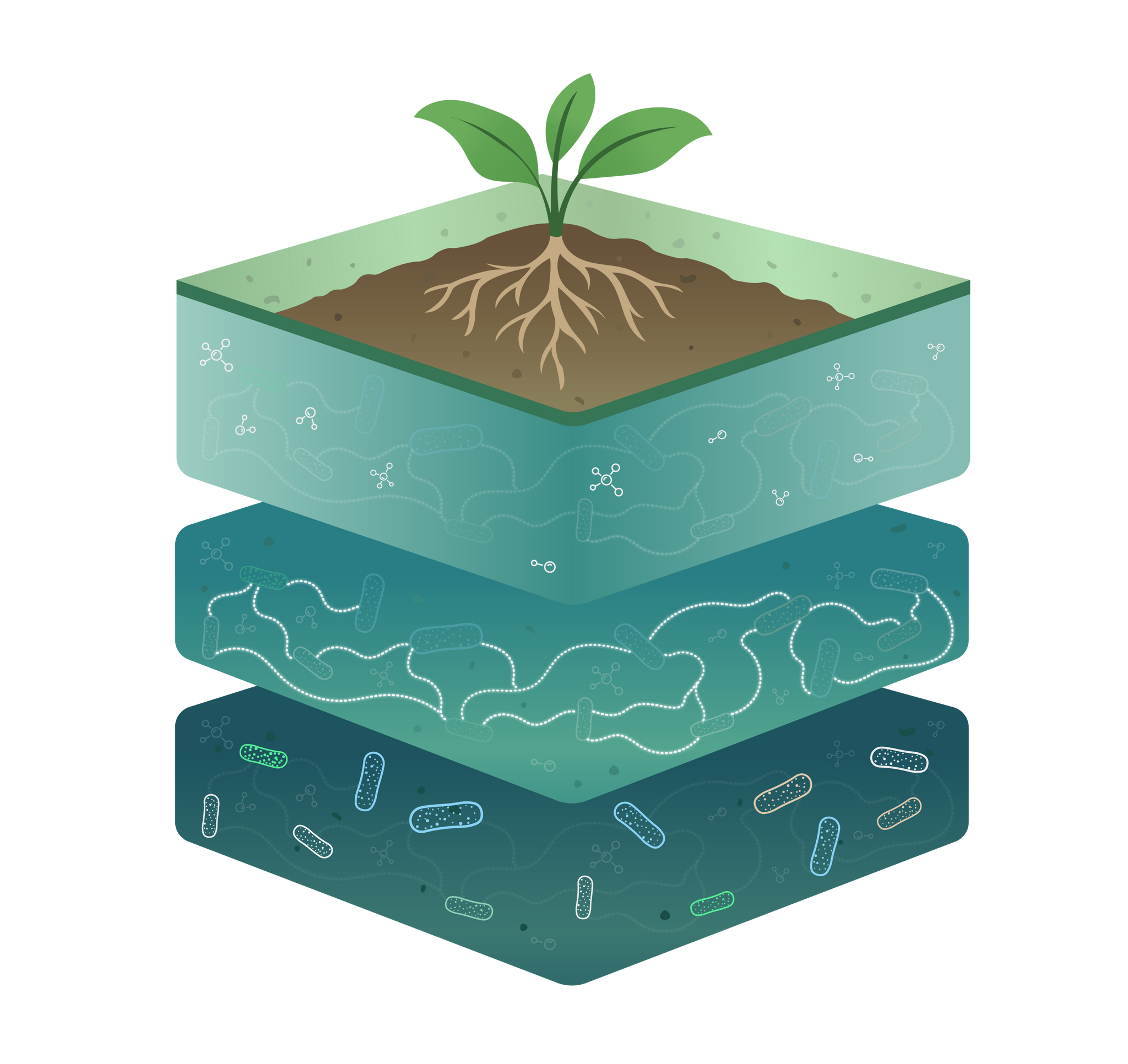 Many agricultural tools, one bottle: What “multimodality” means in microbial inoculants