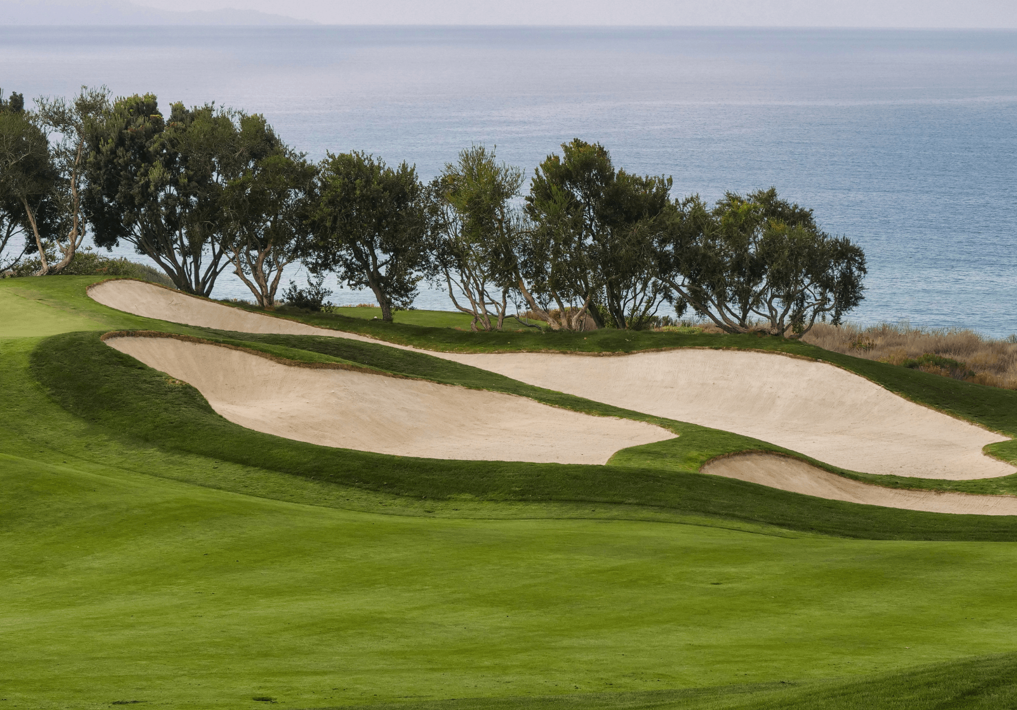 Building resilient turf from the ground up: A biological approach to healthier, stronger grass