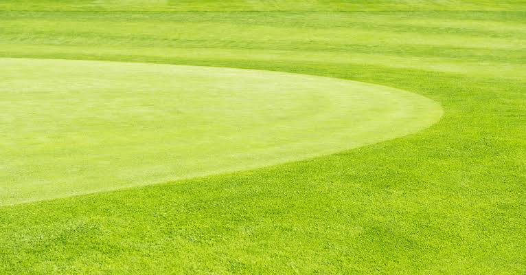 Winter Turf Resilience: What's Really Happening Beneath the Surface