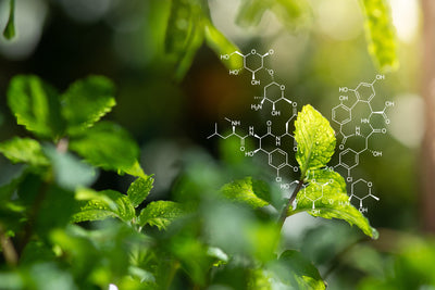 Biostimulants in Agriculture