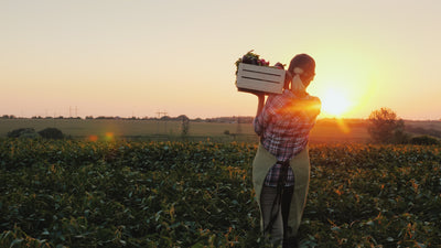 Carbon Farming: How a Healthy Soil Microbiome Helps Sequester Carbon