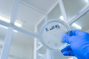 BACILLUS SUBTILIS