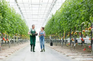 Impello Greenhouse